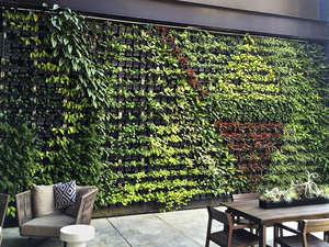 Green wall & roof